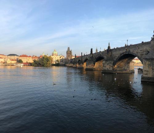 a bridge over a river with ducks in the water at Pension U Lilie in Prague