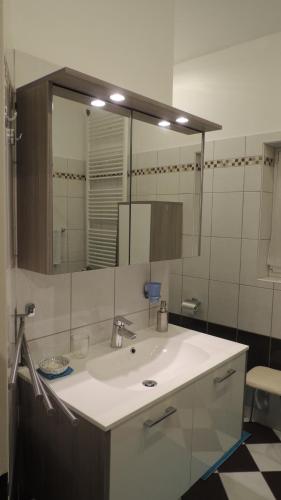 łazienka z umywalką i dużym lustrem w obiekcie Appartement " Am Fasangarten " w Wiedniu