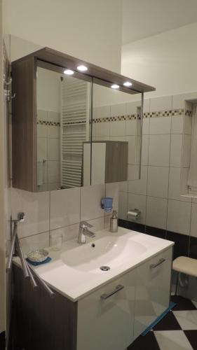 baño con lavabo y espejo grande en Appartement " Am Fasangarten ", en Viena
