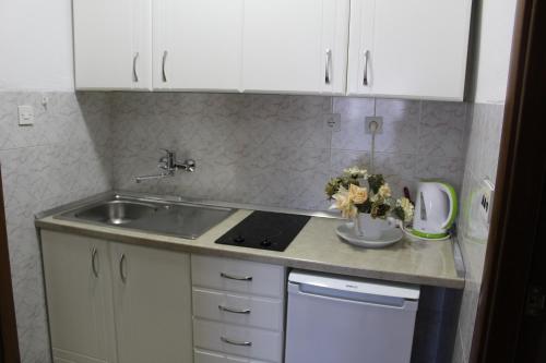 Apartments Gazi tesisinde mutfak veya mini mutfak