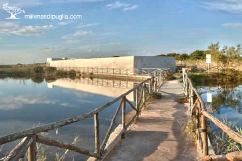 a bridge over a body of water with a building at Blue Sea Apartment in Torre Canne