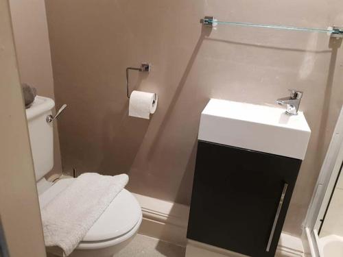 a bathroom with a white toilet and a sink at The Queen Catherine Hotel in Osmotherley