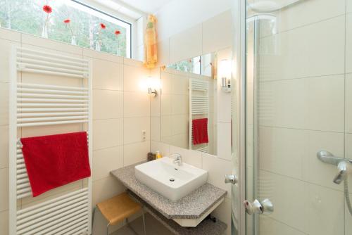 a bathroom with a sink and a shower at Birkenhof - Schimek in Bürserberg