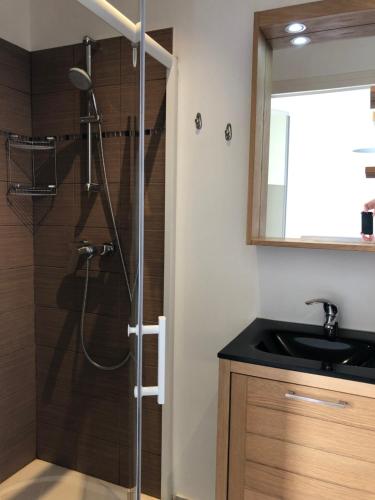 une salle de bain avec une douche avec un lavabo et un miroir dans l'établissement Les cottages de Magny, à Magny-les-Hameaux