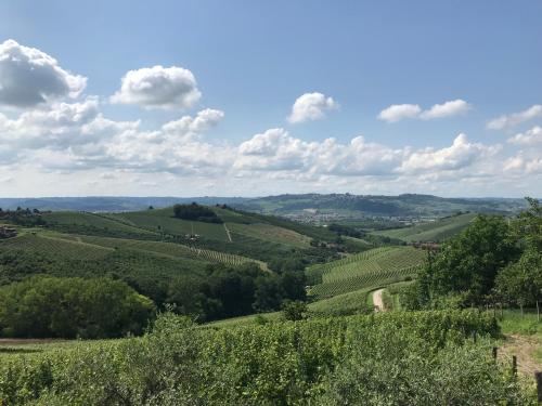 a view of the rolling green hills and trees at Cascina Delle Rose in Barbaresco