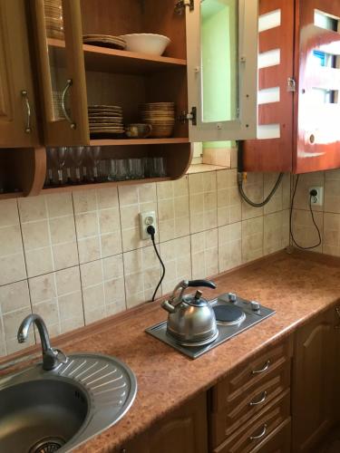 a kitchen counter with a sink and a tea kettle at Cottage Shchaslyvyi in Yaremche