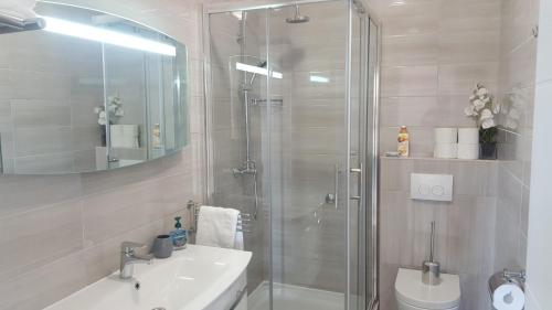 a bathroom with a shower and a sink and a toilet at Apartment Mia in Hvar