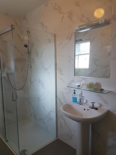 a bathroom with a shower and a sink and a mirror at Woodview Bed & Breakfast. in Letterkenny