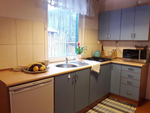 a kitchen with a sink and a bowl of fruit on the counter at Zielone Domki in Nowy Zyzdrój