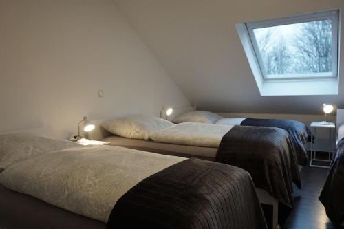 Легло или легла в стая в Haus Rodriguez