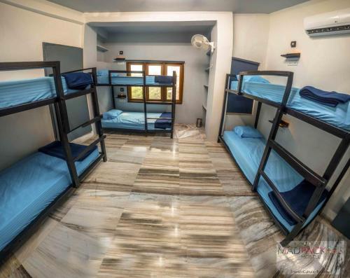 THC Backpackers jodhpur – Photos 3