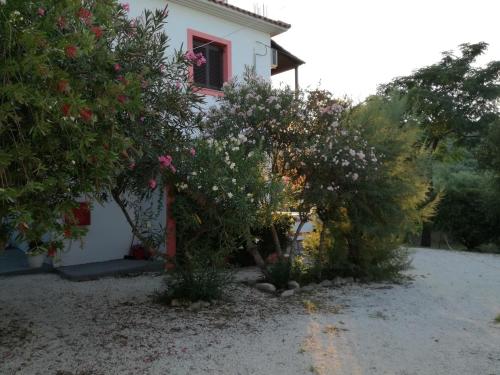 a white house with a red window and some trees at Tony studio & apartments in Laganas