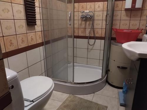 y baño con ducha, aseo y lavamanos. en Zagroda Zalipie, en Gostynin