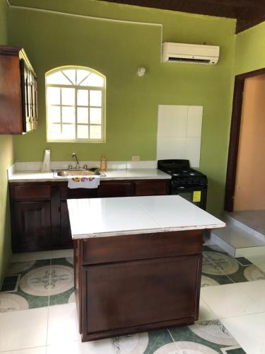 a kitchen with a sink and a counter top at Seascape Apartments in Negril