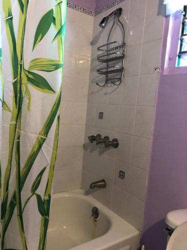 a bathroom with a shower with a tub and a toilet at Seascape Apartments in Negril