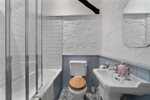a bathroom with a toilet and a sink and a tub at Mill Cottage in Paignton