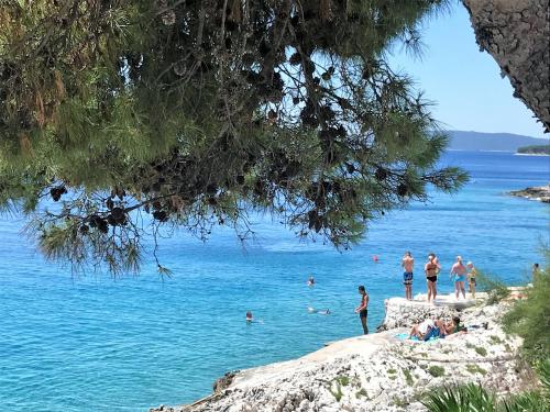 un grupo de personas en el agua en una playa en Villa Domora apartments, en Trogir