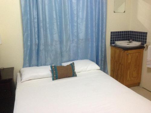 1 dormitorio con cama con lavabo y cortina azul en Mitchell's Guest House, en DʼArbeau