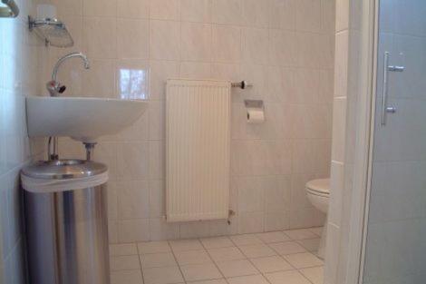 a bathroom with a sink and a toilet at Sluizeweidje Texel in Den Burg