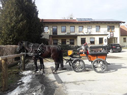 a horse pulling a carriage in front of a building at Dorfwirtshaus Rauch in Eschabruck