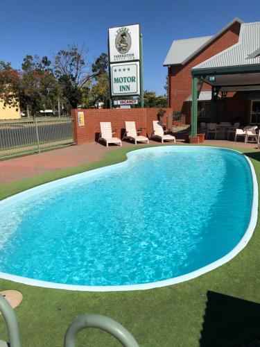 Swimming pool sa o malapit sa Young Federation Motor Inn and Services Club