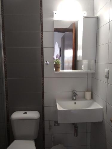 a bathroom with a sink and a toilet and a mirror at Marilena Panoramic Sea View House in Elounda