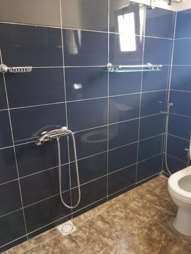 La salle de bains est pourvue de carrelage bleu, d'une douche et de toilettes. dans l'établissement Villa Ty Milyn Mazela SA, à Dakar