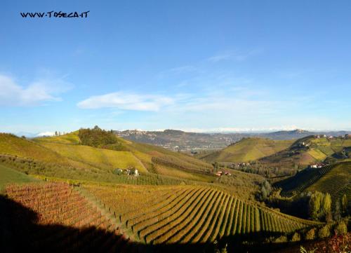 auliculiculiculiculiculiculiculiculiculiculiculiculiculiculic at Casa Nicolini in Barbaresco