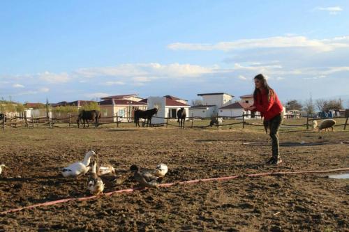 a woman standing in a field with a group of birds at Paradise Investment Resort in Tʼelavi
