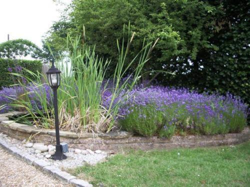 A garden outside Greenways Lodge, Stansted Airport. 