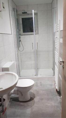 La salle de bains est pourvue d'une douche, de toilettes et d'un lavabo. dans l'établissement Ferienhaus Thalia 2 a, à Übach-Palenberg