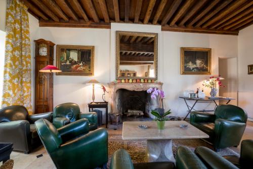 a living room with leather furniture and a fireplace at Villa Louise in Aloxe-Corton
