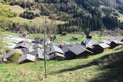a group of houses on a hill in a field at Haus Bortis in Niederwald
