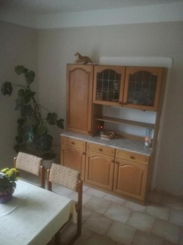 a kitchen with wooden cabinets and a table and a plant at Auestraße 94A in Glauchau