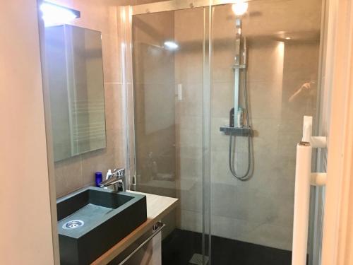 une salle de bain avec un lavabo et une douche en verre dans l'établissement L'Olivier, à Aix-les-Bains