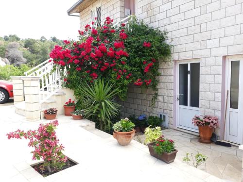 a bunch of flowers on the side of a building at Apartments Pecotić in Brna