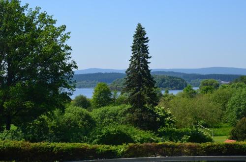 a tree in a garden with a lake in the background at EDER- Penzion & Apartmány in Horní Planá