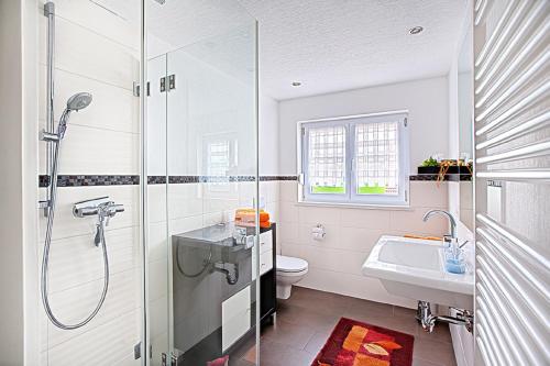 a bathroom with a shower and a sink and a toilet at Steffi's Landhof in Bad Wörishofen