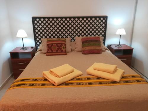 a bed with two pillows on it with two lamps at Departamento Sol Cuyano in Mendoza