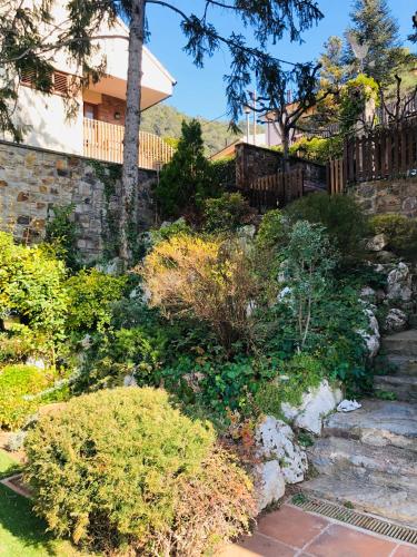 a garden with plants and stairs in front of a house at Casa les Pomeretes in El Figaró