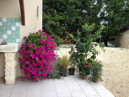 Chateau Haut Baron – Photos 4
