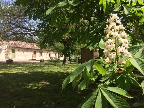 Chateau Haut Baron – Photos 3