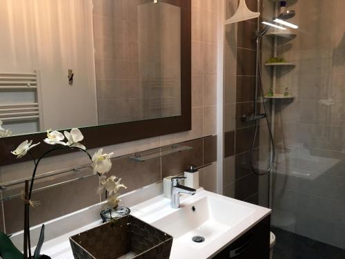 a bathroom with a sink and a mirror and a shower at La Seine en couleurs in Duclair