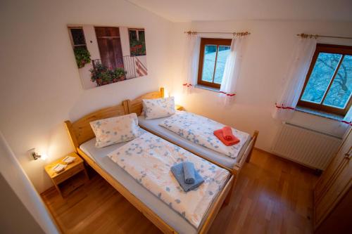 two beds in a small room with two windows at Ferienwohnungen Lichtenegger in Kamp