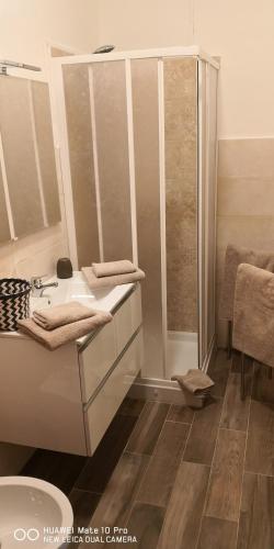 a bathroom with a shower and a sink at Casa della Sala Spada in Casale Monferrato