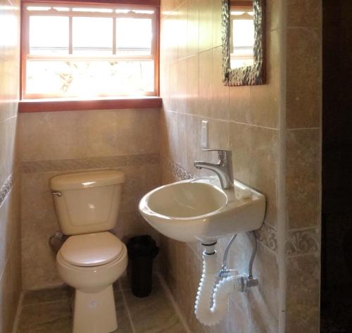 a bathroom with a toilet and a sink at Caribe Tesoro in West Bay
