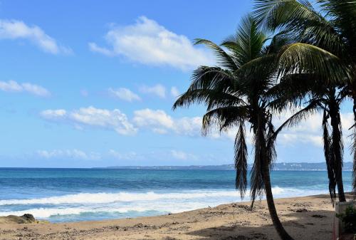 two palm trees on a beach with the ocean at The Beach Pad Puntas in Rincon