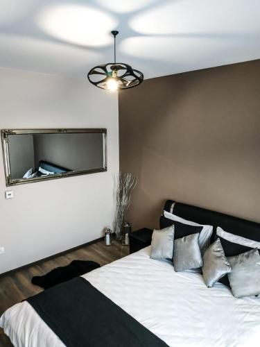 a bedroom with a bed with a mirror on the wall at Wood Central Apartment in Timişoara