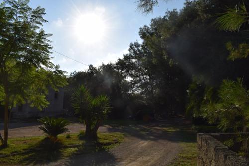 a dirt road with trees and the sun in the sky at Masseria Convento in Novoli