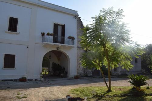 a cat sitting in front of a building at Masseria Convento in Novoli